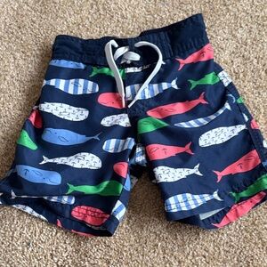 Janie and Jack Navy Whale Print Swim Shorts